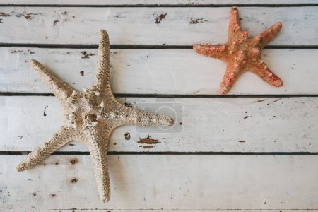 Téléchargez les photos : Vue de dessus de deux étoiles de mer couchées sur une surface rustique en bois blanc - en image libre de droit