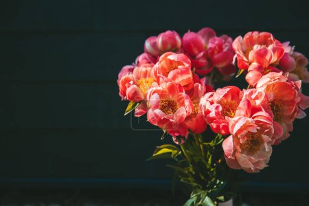 Gros plan un bouquet de pivoines roses avec un fond noir