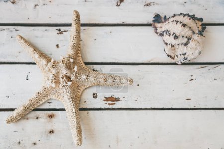 Top view of a starfish and a seashell lying on a rustic white wooden surface