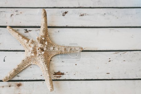 Top view of a starfish resting on a weathered wooden surface, with copy-space
