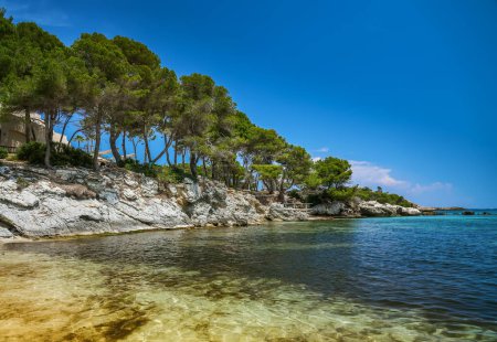 Beautiful beach with pine trees - Font de Sa Cala, is situated on the northeast coast of Mallorca