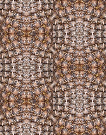Foto de Cerrar marrón textura de piña decoración de fondo sin costuras. antecedentes - Imagen libre de derechos