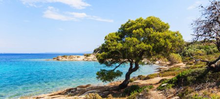 Foto de Paisaje natural de verano y hermoso paisaje marino de la costa de Sithonia Halkidiki Grecia. Destino turístico popular - Imagen libre de derechos