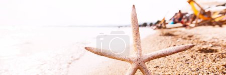 Téléchargez les photos : Vacances d'été - Étoile de mer sur la plage de sable au coucher du soleil - Concept de voyage - en image libre de droit