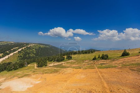 Photo for Peaceful mountain summer landscape, lush forest and blue sky with clouds. - Royalty Free Image