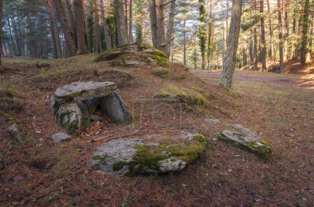Prehistoric Dolmne in Montgrony, Ripolles, Catalonia