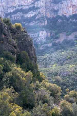 Mountainside Forest View at Congost de Mu Gorge, Catalonia