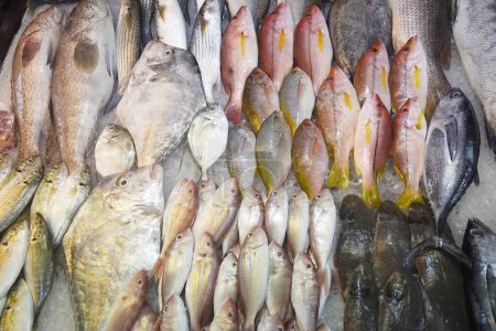 Frischer Fisch auf dem Markt
