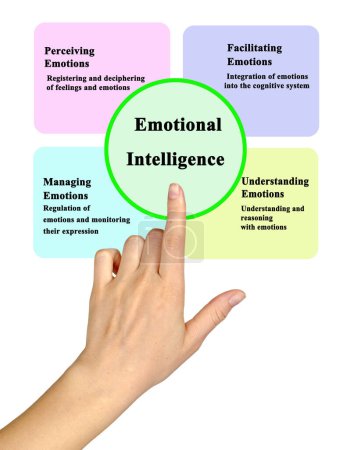 Photo for Four Components of Emotional Intelligence - Royalty Free Image