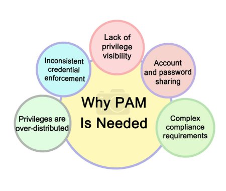 Photo for Why PAM IS Needed - Royalty Free Image
