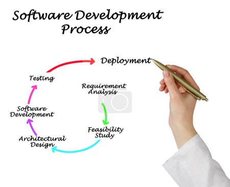 Photo for Components of Software Development Process - Royalty Free Image