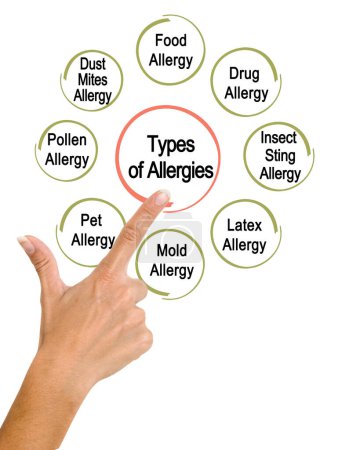 Téléchargez les photos : Présentation de huit types d'allergies - en image libre de droit
