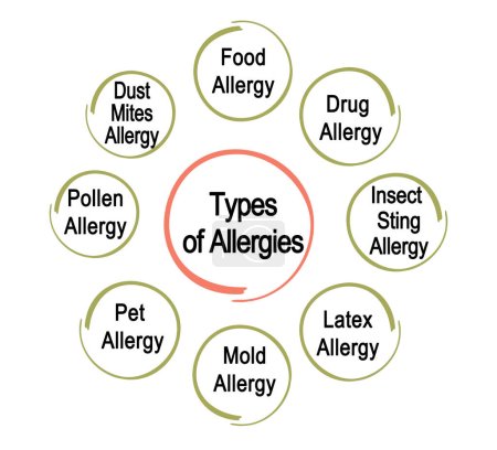 Téléchargez les photos : Huit types d'allergies - en image libre de droit