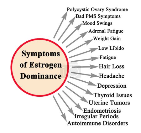 Photo for Fifteen Symptoms of Estrogen Dominance - Royalty Free Image