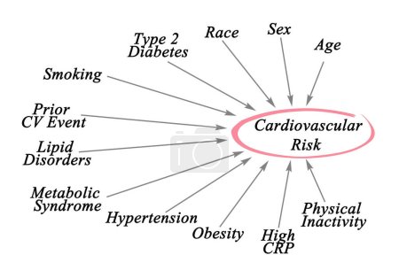 Téléchargez les photos : Douze facteurs de risque cardiovasculaire - en image libre de droit