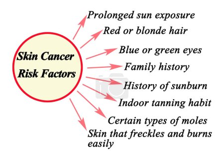 Téléchargez les photos : Huit facteurs de risque de cancer de la peau - en image libre de droit