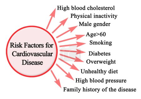 Photo for Risk Factors for Cardiovascular Disease - Royalty Free Image