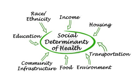 Foto de Ocho determinantes sociales de la salud - Imagen libre de derechos