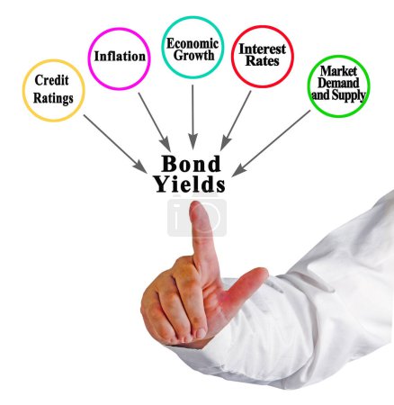 Cinq facteurs influant sur les rendements obligataires