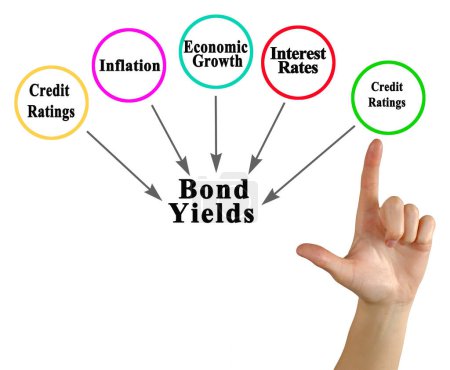 Fünf Faktoren beeinflussen die Anleiherenditen