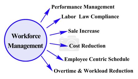 Sechs Funktionen der Arbeitskräfteverwaltung