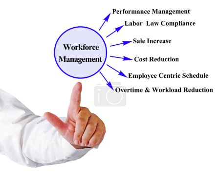 Six Functions of Workforce Management