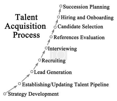 Componentes del proceso de adquisición de talento