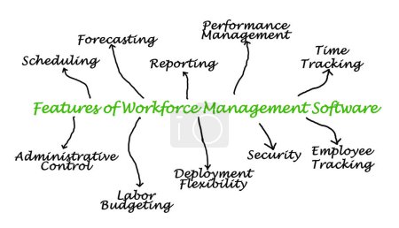 Téléchargez les photos : Caractéristiques du logiciel de gestion de la main-d'œuvre - en image libre de droit