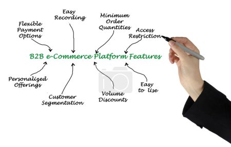 Acht Merkmale der B2B-E-Commerce-Plattform 