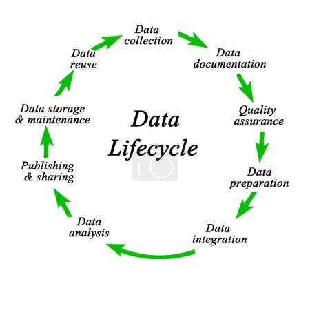 Téléchargez les photos : Neuf composantes du cycle de vie des données - en image libre de droit