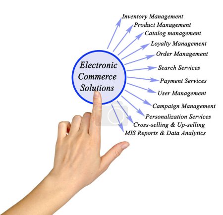 Presenting Twelve Electronic Commerce Solutions