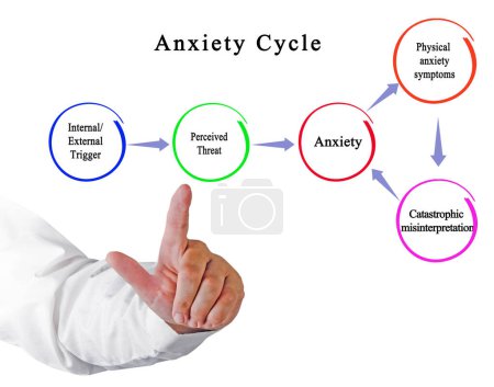 Cinco componentes del ciclo de ansiedad