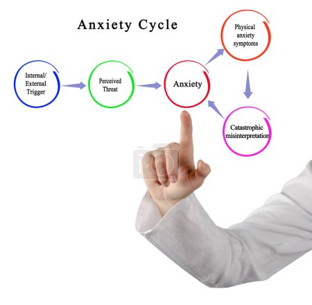 Cinq composantes du cycle d'anxiété