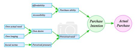 What Drives Customer to Purchase