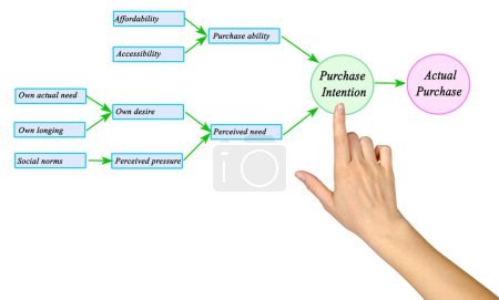 What Drives Customer to Purchase