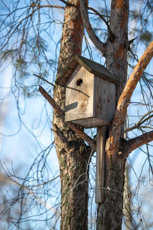 Foto de Birdhouse hanging in rustic winter forest - Imagen libre de derechos