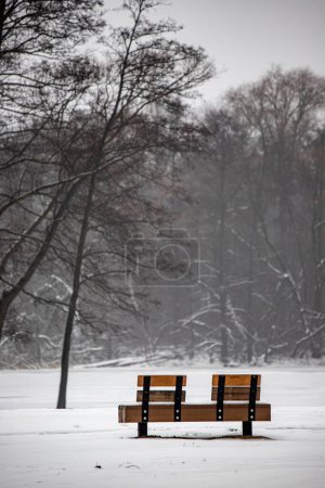 Téléchargez les photos : Paysage hivernal dans le parc - en image libre de droit