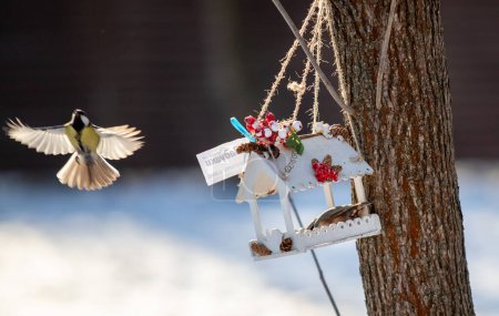 Foto de Birdhouse hanging in rustic winter forest - Imagen libre de derechos