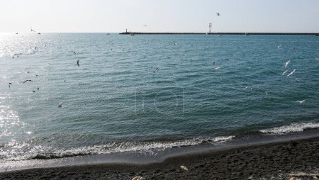 Foto de Landscape seashore, sea pier in clear weather. - Imagen libre de derechos