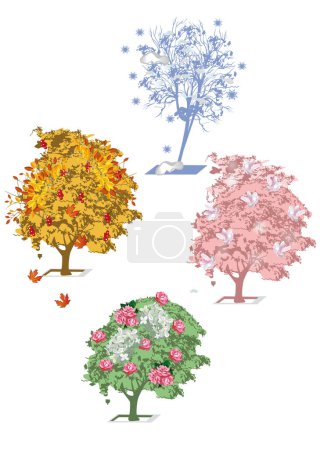 Téléchargez les illustrations : Quatre saisons : arbres en hiver, printemps, été, automne. Illustration vectorielle dessinée main. - en licence libre de droit