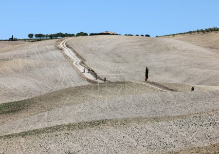 Téléchargez les photos : Le paysage rural près de San Quirico en Toscane. Italie - en image libre de droit