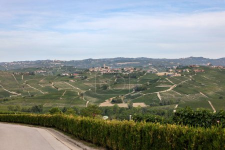 Photo for Langhe vineyards near Barolo and La Morra, Unesco Site, Piedmont, Italy - Royalty Free Image