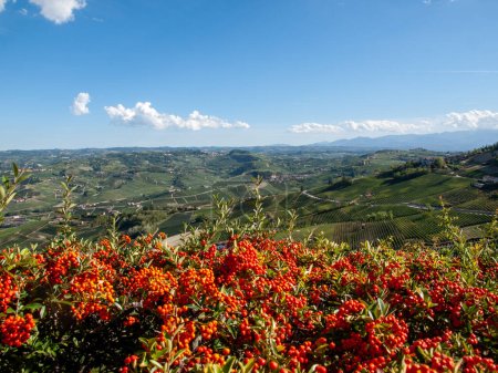 Blick auf die Langhe-Weinberge von La Morra, UNESCO-Weltkulturerbe, Piemont, Italien