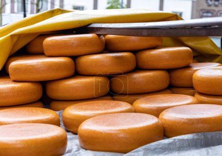 Téléchargez les photos : Fromage Gouda traditionnel néerlandais dans une échoppe de rue le jeudi jour du marché au fromage traditionnel à Gouda, aux Pays-Bas - en image libre de droit