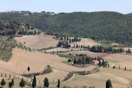  El paisaje rural cerca de Pienza en Toscana. Italia