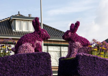 Téléchargez les photos : Noordwijkerhout, Pays-Bas - 21 avril 2023 : Lapin fait de jacinthes présenté avant la soirée illuminée Flower Parade Bollenstreek à Noordwijkerhout - en image libre de droit