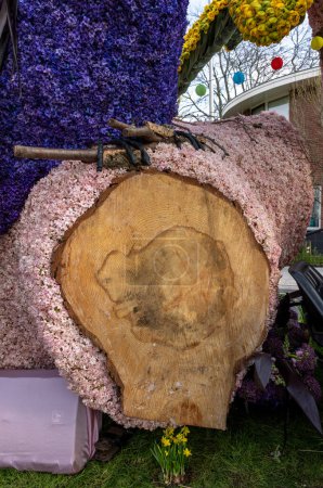 Foto de Decoración floral hecha de una sección transversal de un tronco de árbol y jacintos - Imagen libre de derechos