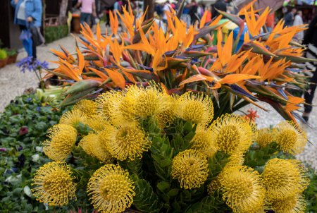 Coloridas flores tropicales en un mercado callejero en Funchal en la isla de Madeira