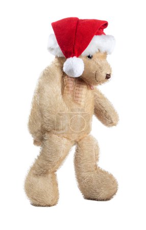 Photo for Teddy bear walking isolated on white background - Royalty Free Image