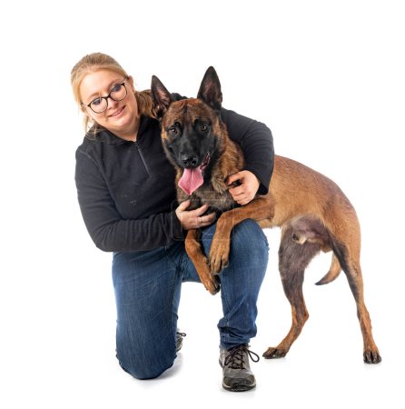 Photo for Belgian shepherd and woman in front of white background - Royalty Free Image